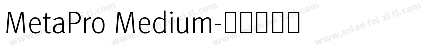 MetaPro Medium字体转换